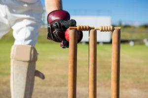 Cricket wicketkeeper with ball